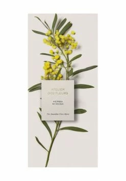 Chloé Atelier Des Fleurs Herba Mimosa, Eau De Parfum 50ml -Angebote Arom Zauber Store unnamed file 1089