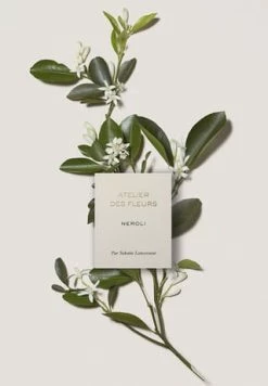 Chloé Atelier Des Fleurs Néroli, Eau De Parfum 50ml 10 Chloé Atelier Des Fleurs Néroli, Eau De Parfum 50ml -Angebote Arom Zauber Store unnamed file 1095