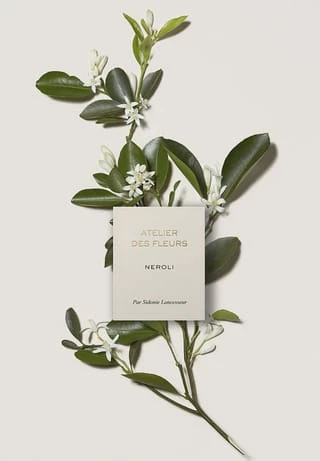 Chloé Atelier Des Fleurs Néroli, Eau De Parfum 50ml 4 Chloé Atelier Des Fleurs Néroli, Eau De Parfum 50ml – Bild 4