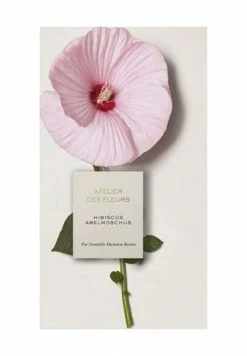Chloé Atelier Des Fleurs Hibiscus Abelmoschus, Eau De Parfum 50ml 10 Chloé Atelier Des Fleurs Hibiscus Abelmoschus, Eau De Parfum 50ml -Angebote Arom Zauber Store unnamed file 1102