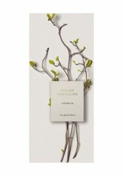 Chloé Atelier Des Fleurs Cedrus, Eau De Parfum 50ml -Angebote Arom Zauber Store unnamed file 1109