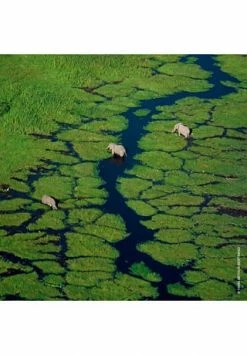 GUERLAIN AQUA ALLEGORIA 125ml -Angebote Arom Zauber Store unnamed file 139