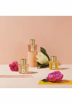 ACQUA DI PARMA Magnolia Nobile, Eau De Parfum 100ml -Angebote Arom Zauber Store unnamed file 185