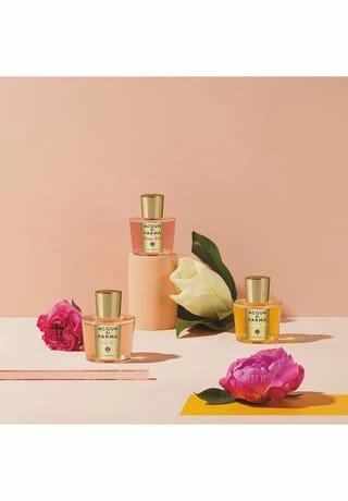 ACQUA DI PARMA Rosa Nobile, Eau De Parfum 50ml 6 ACQUA DI PARMA Rosa Nobile, Eau De Parfum 50ml – Bild 6