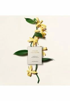 Chloé Atelier Des Fleurs Papyrus, Eau De Parfum 50ml -Angebote Arom Zauber Store unnamed file 311