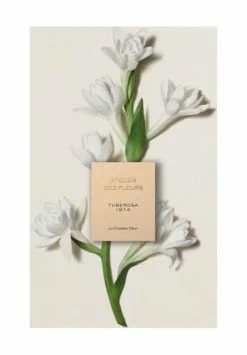 Chloé Atelier Des Fleurs Tuberosa 1974, Eau De Parfum 150ml -Angebote Arom Zauber Store unnamed file 323