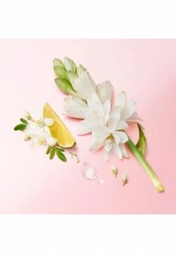 ARMANI MY WAY 150ml -Angebote Arom Zauber Store unnamed file 385