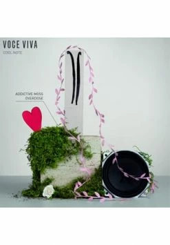 VALENTINO VOCE VIVA 30ml -Angebote Arom Zauber Store unnamed file 406