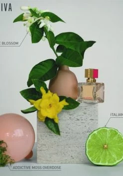 VALENTINO VOCE VIVA 30ml -Angebote Arom Zauber Store unnamed file 413