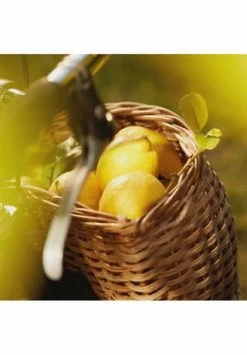 Maison Margiela REPLICA 30ml -Angebote Arom Zauber Store unnamed file 426