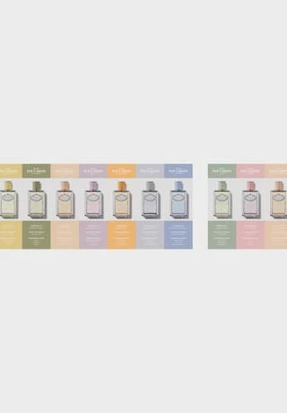 PRADA LES INFUSIONS 100ml 3 PRADA LES INFUSIONS 100ml – Bild 3