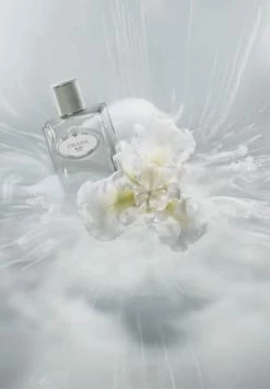 PRADA LES INFUSIONS 100ml 17 PRADA LES INFUSIONS 100ml -Angebote Arom Zauber Store unnamed file 582