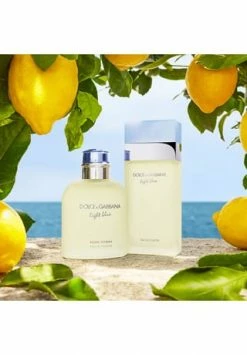 DOLCE & GABBANA Light Blue Pour Homme, Eau De Toilette 40ml -Angebote Arom Zauber Store unnamed file 79