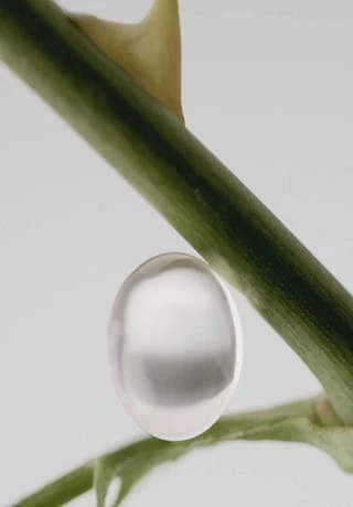 ISSEY MIYAKE L'Eau D'Issey Rose&Rose, Eau De Parfum Intense 25ml 5 ISSEY MIYAKE L'Eau D'Issey Rose&Rose, Eau De Parfum Intense 25ml – Bild 5