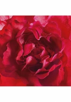 Mon Guerlain 30ml 19 Mon Guerlain 30ml -Angebote Arom Zauber Store unnamed file 967