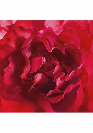 Mon Guerlain 30ml 8 Mon Guerlain 30ml – Bild 8