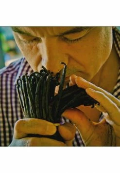 GUERLAIN Shalimar 50ml -Angebote Arom Zauber Store unnamed file 977